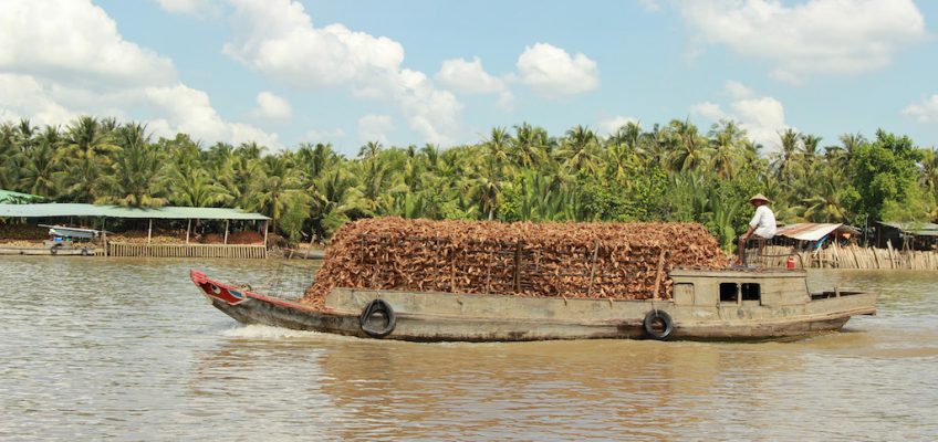 Highlights of Vietnam