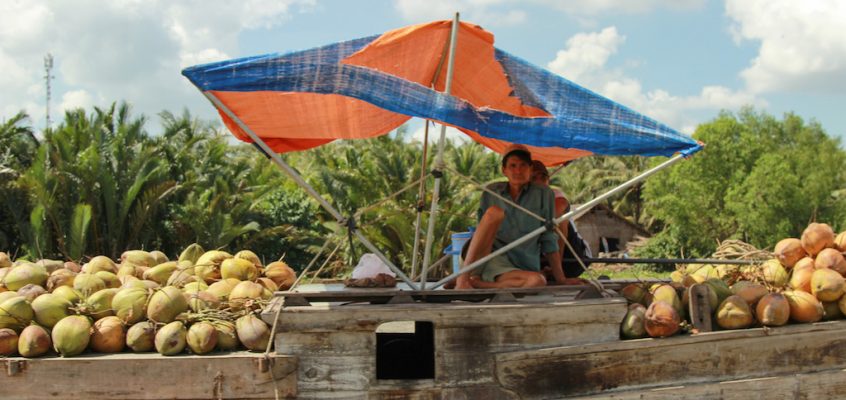 Full Day Tour Ben Tre